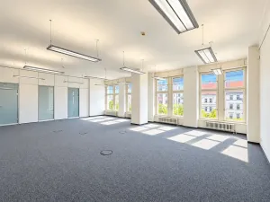 Pronájem kanceláře, Praha - Nové Město, Václavské náměstí, 531 m2