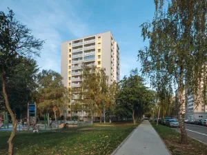 Prodej bytu 1+1, Pardubice - Zelené Předměstí, nábřeží Závodu míru, 43 m2