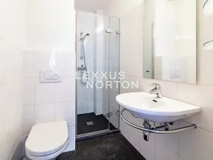 Pronájem bytu 3+kk, Praha - Staré Město, Martinská, 130 m2