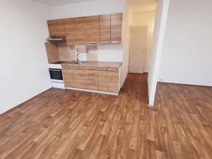 Pronájem bytu 2+kk, Litoměřice, Revoluční, 42 m2