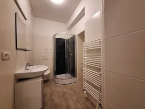 Pronájem bytu 2+1, Praha - Bubeneč, U zeměpisného ústavu, 49 m2