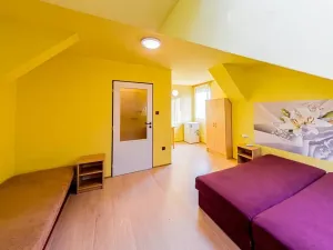 Prodej ubytování, Horní Meziříčko, 240 m2