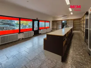 Pronájem obchodního prostoru, Krásné, 198 m2