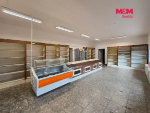 Pronájem obchodního prostoru, Krásné, 198 m2