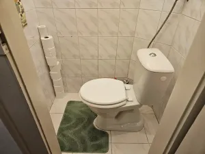 Pronájem bytu 2+kk, Praha - Žižkov, Čajkovského, 65 m2