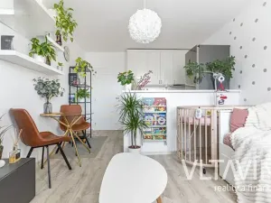 Prodej bytu 2+kk, Praha - Braník, Roškotova, 47 m2