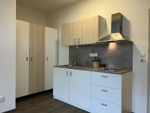 Pronájem bytu 1+kk, Pardubice, Na Okrouhlíku, 29 m2