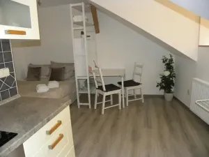 Pronájem bytu 1+kk, Jihlava, Lazebnická, 24 m2