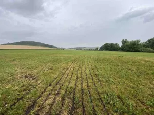 Prodej pole, Rabí - Bojanovice, 22978 m2