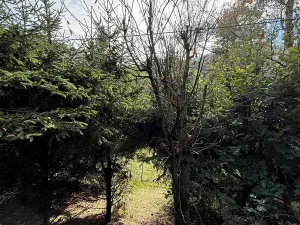 Prodej chaty, Ostrovec-Lhotka, 28 m2