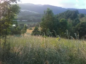 Pronájem louky, Velké Březno, 39851 m2