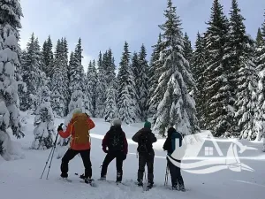 Prodej bytu 2+kk, Bansko, Bulharsko, 59 m2