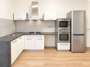 Prodej bytu 1+1, Brno, Došlíkova, 48 m2
