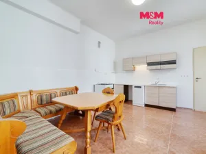 Pronájem bytu 2+1, Plzeň - Jižní Předměstí, Goethova, 90 m2