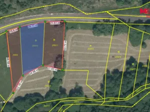 Prodej louky, Zruč nad Sázavou, 3231 m2