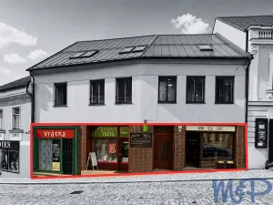 Prodej obchodního prostoru, Třebíč, Hasskova, 240 m2