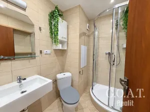 Prodej bytu 1+kk, Klatovy, Suvorovova, 36 m2