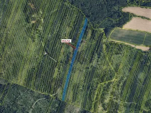 Dražba lesa, Nová Hradečná, 12014 m2