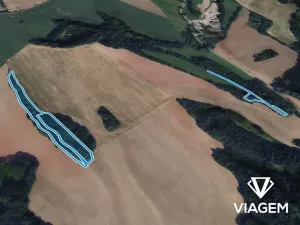 Prodej lesa, Rozstání, 17212 m2
