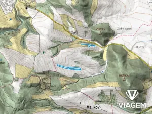 Prodej lesa, Rozstání, 17212 m2