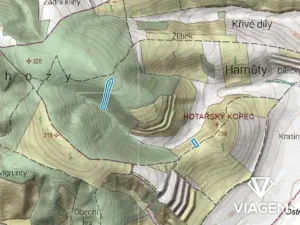 Prodej podílu lesa, Brumovice, 2323 m2