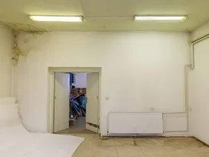 Prodej obchodního prostoru, Úpice, Palackého, 836 m2