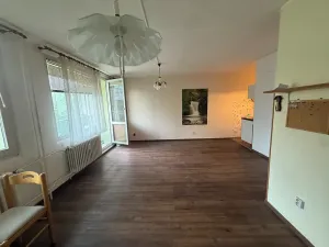 Prodej bytu 1+kk, Jílové u Prahy, Holíkova, 44 m2