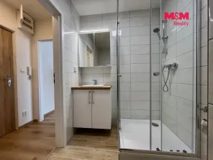 Pronájem bytu 1+1, Most, Rozmarýnová, 33 m2