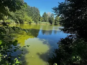 Pronájem zemědělské usedlosti, Ondřejov, Brožkova, 80 m2