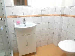 Pronájem bytu 1+kk, Zlín, třída Svobody, 21 m2