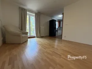 Pronájem bytu 1+1, Stochov, J. A. Komenského, 30 m2