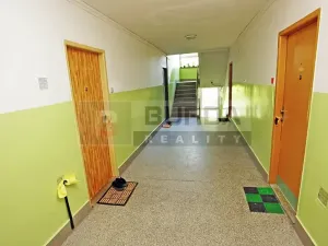 Prodej bytu 1+1, Neratovice, 30 m2