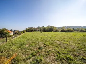 Prodej pozemku pro bydlení, Daleké Dušníky, 5258 m2