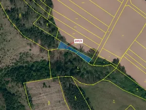 Dražba louky, Čikov, 510 m2
