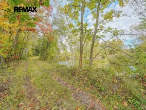 Prodej rybníku, Kožlany, 2200 m2