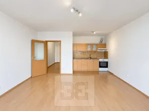 Pronájem bytu 1+kk, Liberec, Ořechová, 42 m2