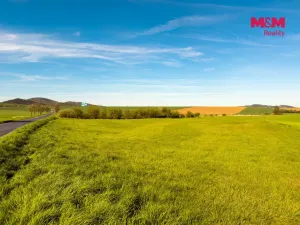 Prodej pozemku pro bydlení, Chlustina, 1000 m2
