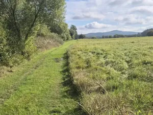 Prodej pozemku pro bydlení, Jestřebí, 1898 m2