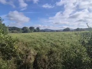 Prodej pozemku pro bydlení, Jestřebí, 1898 m2
