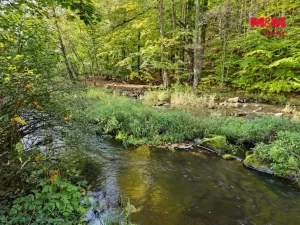 Prodej chaty, České Lhotice - Hradiště, 30 m2