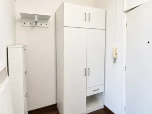 Prodej bytu 2+kk, Ostrava - Moravská Ostrava, Poděbradova, 38 m2