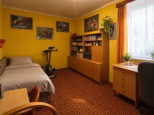 Prodej rodinného domu, Havlíčkův Brod - Svatý Kříž, 210 m2