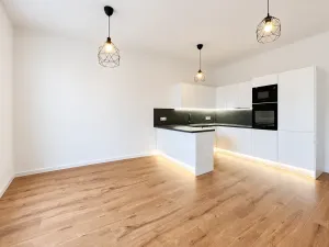 Prodej bytu 2+kk, Praha - Nusle, Na výsledku II, 50 m2