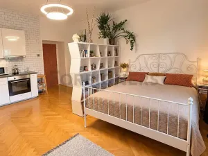 Pronájem bytu 1+kk, Praha, V olšinách, 36 m2