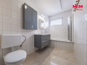 Pronájem rodinného domu, Šestajovice, Ve Skalkách, 125 m2