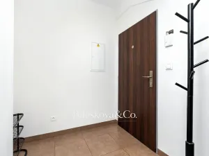 Pronájem bytu 1+kk, Praha - Holešovice, Jankovcova, 38 m2