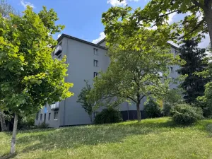 Prodej bytu 2+1, Praha - Žižkov, Osiková, 53 m2