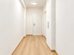Prodej bytu 1+1, Brno, 48 m2