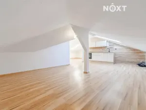 Pronájem bytu 2+kk, Ostrava, Parcelní, 62 m2