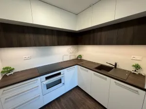 Pronájem bytu 2+kk, Brno - Veveří, Lidická, 55 m2